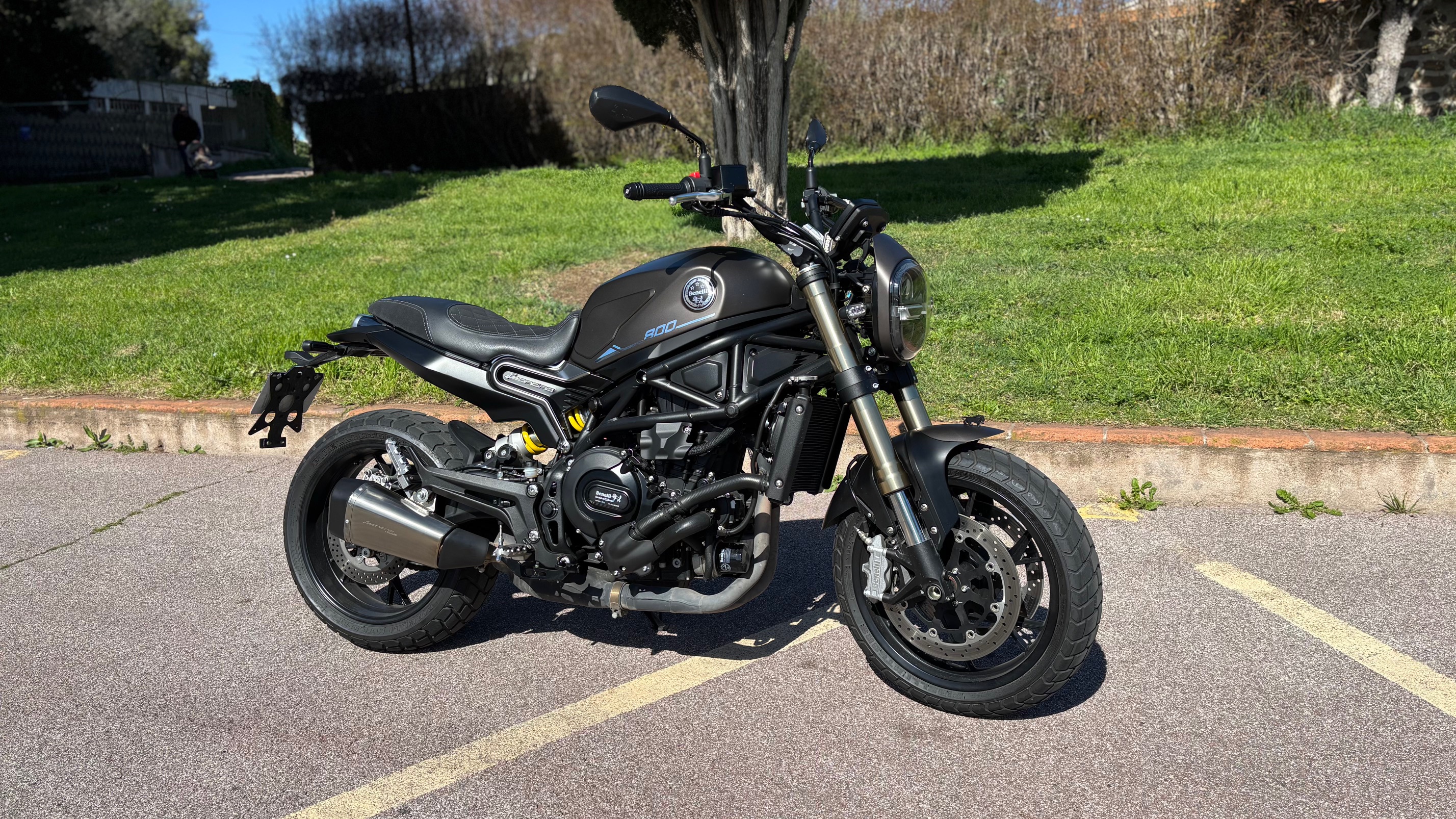 LEONCINO 800 GRANTIE 5